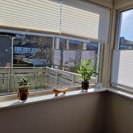 Central,free Parking And 10 Min Walk To Train Station